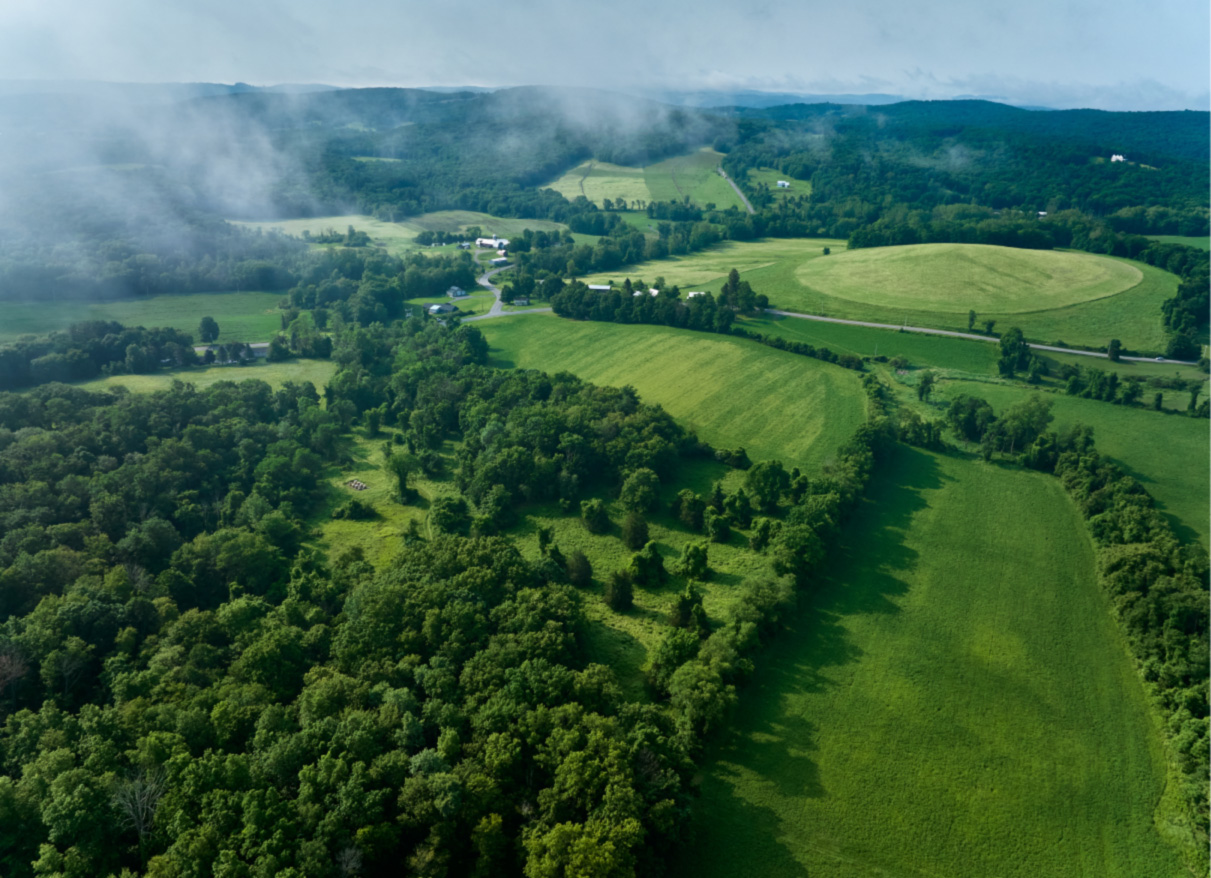 250611_SHF_Hergt_0949_high-res